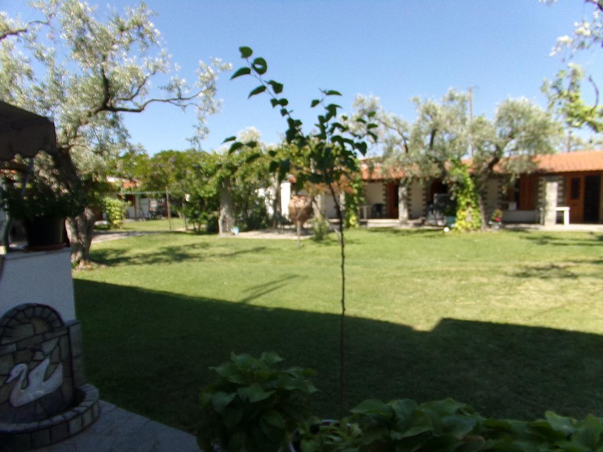 Villa Karapataki Skala Rachoni  Rum bild